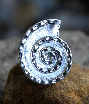 Anello in Argento 