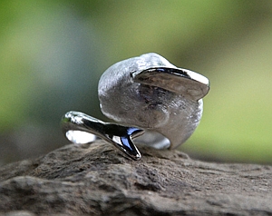  Anello in Argento