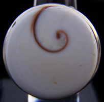  Anello Argento e Occhio di Santa Lucia (Shiva Eye) 